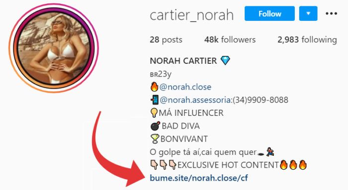 Link na bio do Instagram